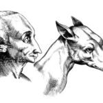 Man and dog — De humana physiognomonia by della Porta