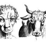 Man and cow — De humana physiognomonia by Giambattista della Porta (1586)