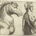 Study of a bearded man by Giuseppe Porta (1562-1564)